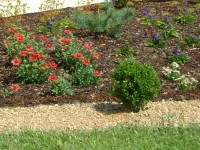 /album/fotogalerie-vysadba/a53-b-a-jpg/